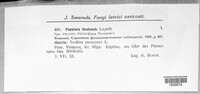 Image Associated With the Occurence